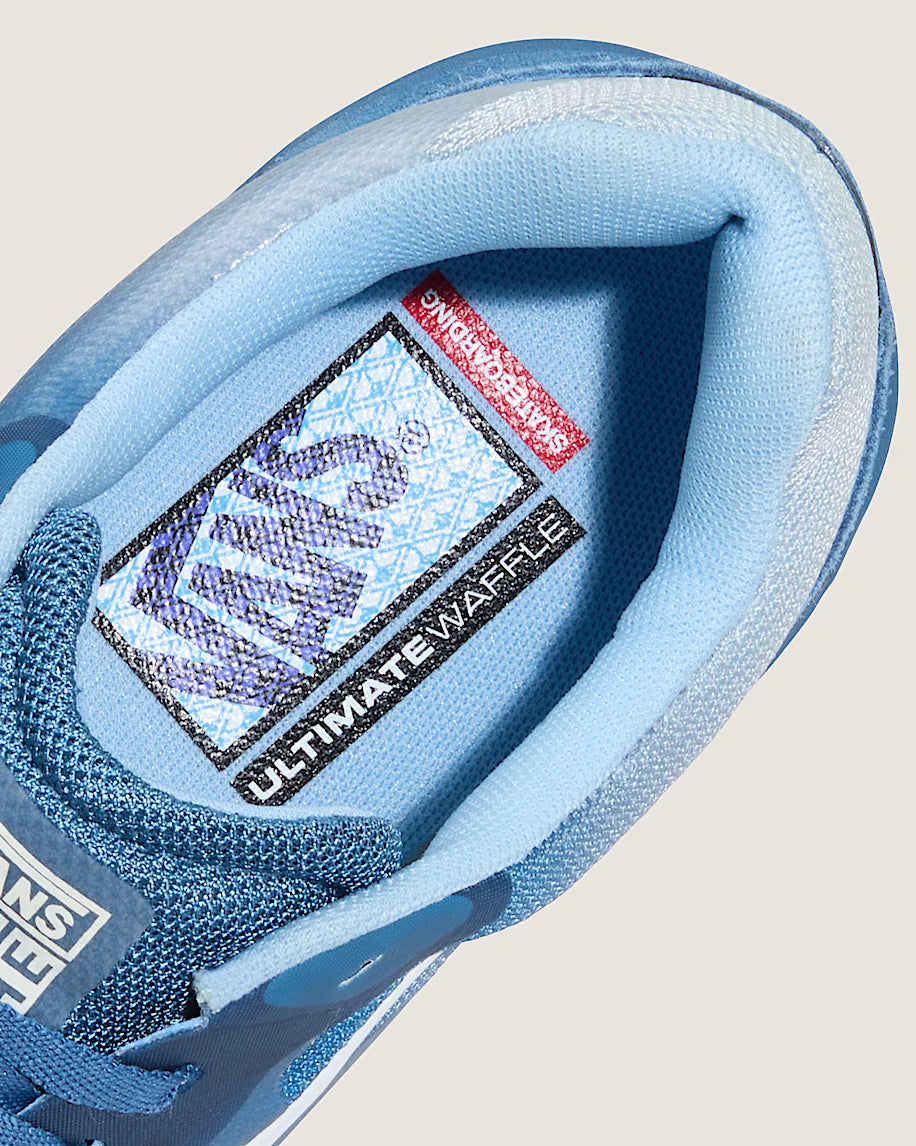 Skate AVE 2.0 Pro Shoe Est. Blu