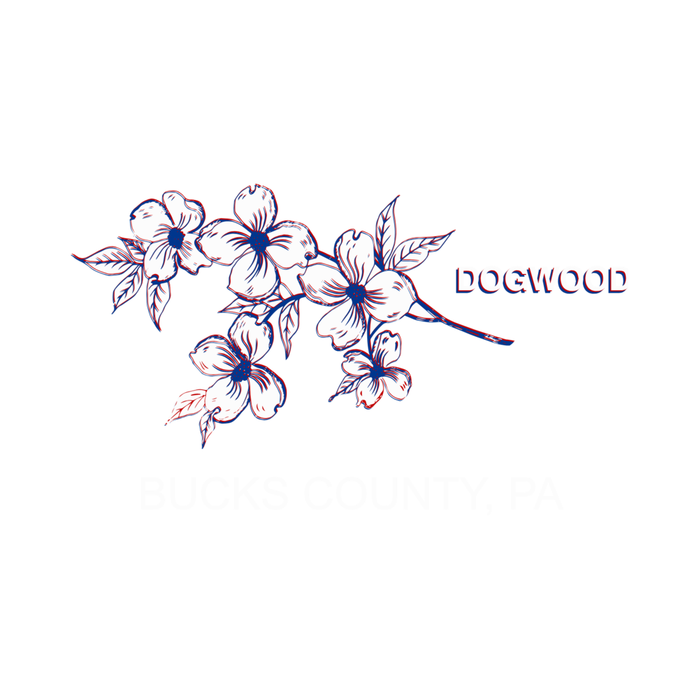Flowers From 1776 s/s Tee Shirt Blk/Rd/Wht/Blu