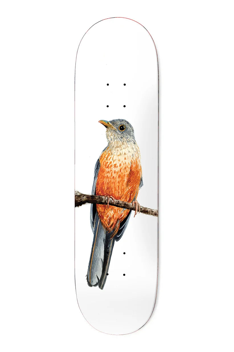 Yuri Facchini Sabia Laranjeira Pro Deck 8.125 X 31.5